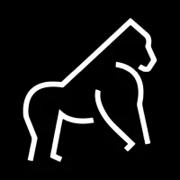 Popular Nobody Brands